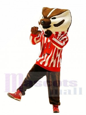 Wisconsin Blaireaux Costume de mascotte