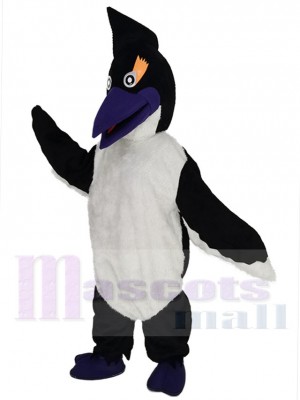 Oiseau pic boisé Mascotte Costume Dessin animé