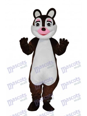Mignonne Peu Écureuil Adulte Mascotte Costume Animal