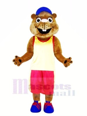 Marron Marmotte avec Des sports Costume Mascotte Les costumes