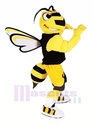 Cool sport abeille Mascotte Les costumes Dessin animé