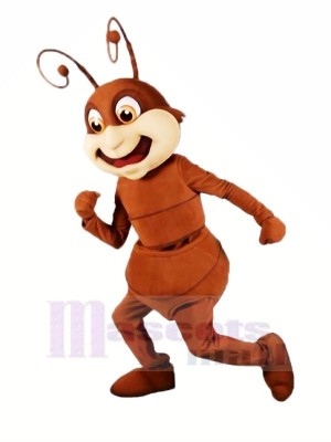marron Fourmi Mascotte Les costumes Dessin animé
