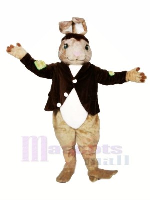 Haute Qualité marron lapin Mascotte Les costumes Adulte