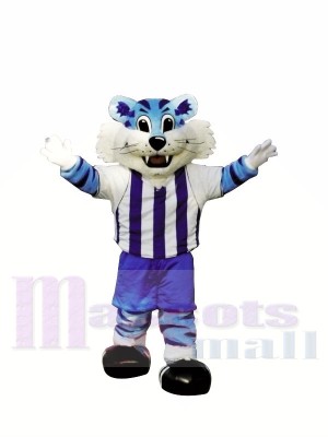 Collège bleu tigre Costumes De Mascotte