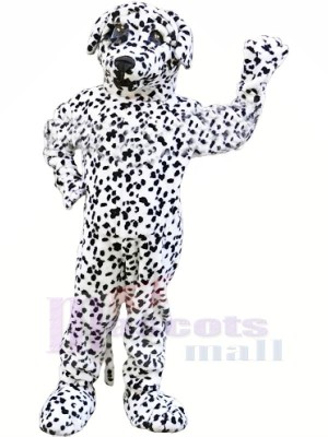 Fort dalmatien Chien Mascotte Les costumes Animal