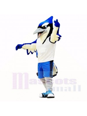 Mascotte sport oiseau bleu et noir école de costumes