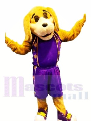 Sport Chien avec Violet Costume Mascotte Les costumes Animal