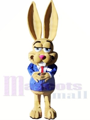 Mignonne Jackrabbit Costumes De Mascotte