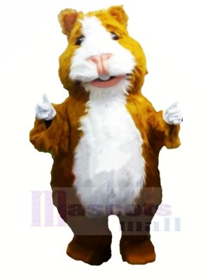 Mignonne Hamster Mascotte Les costumes Dessin animé