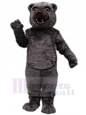 Ours costume de mascotte