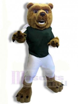 Ours costume de mascotte