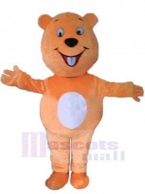 Ours costume de mascotte