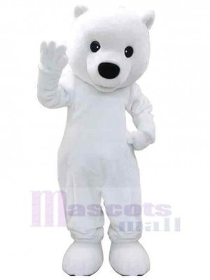 Ours costume de mascotte