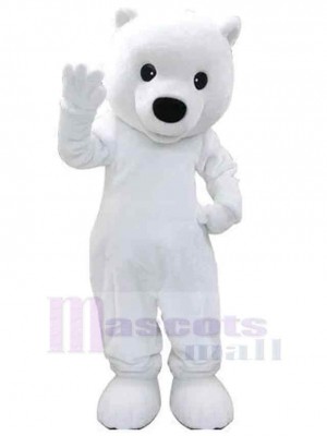 Ours blanc intelligent Mascotte Costume Pour adultes Têtes de mascotte