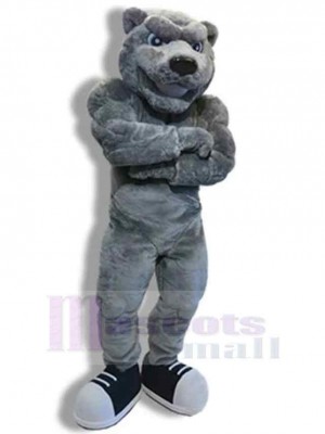 Ours costume de mascotte