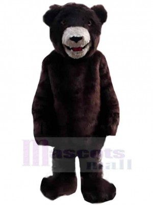 Ours costume de mascotte