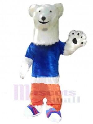 Ours costume de mascotte
