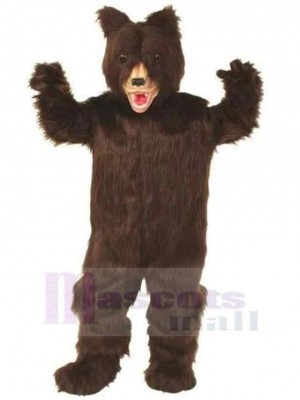 Ours costume de mascotte