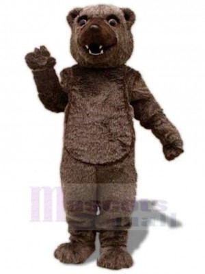 Ours brun en peluche Mascotte Costume Pour adultes Têtes de mascotte