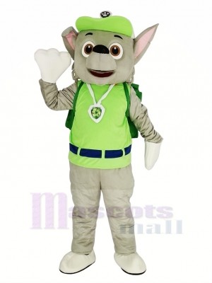 Mignonne Paw Patrol Rocky Mascotte Costume Dessin animé