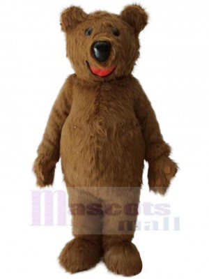 Ours en peluche Mascotte Costume Animal