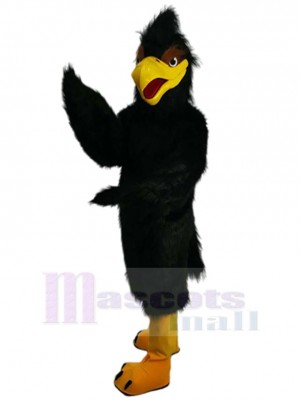 Peluche Noir Aigle faucon Mascotte Costume Animal