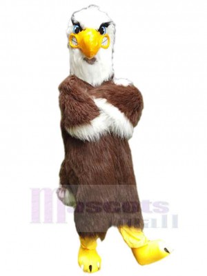 Aigle faucon costume de mascotte