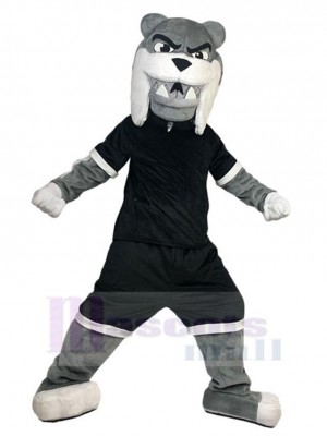 Chien costume de mascotte