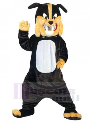 Chien costume de mascotte