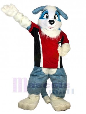 Beau chien bleu et blanc Mascotte Costume Animal