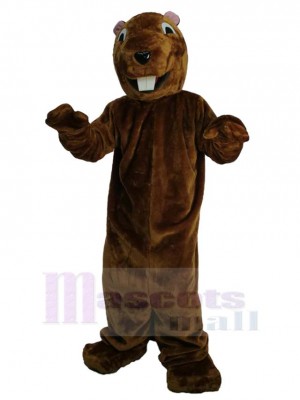 Marmotte costume de mascotte