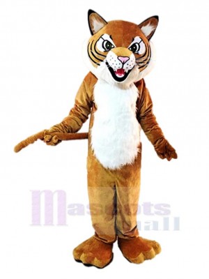 Extérieur Tigre Mascotte Costume Animal