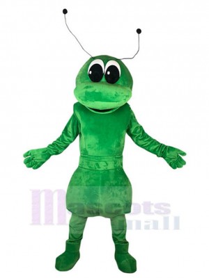 Fourmi costume de mascotte