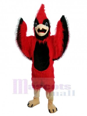 Oiseau Phénix rouge Mascotte Costume Animal