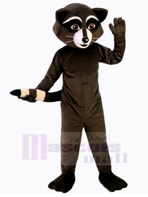 Raton laveur costume de mascotte