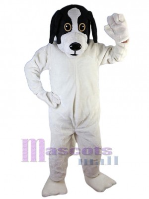 Chien costume de mascotte