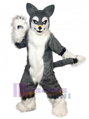 Chien costume de mascotte
