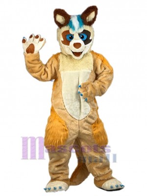 Chien costume de mascotte