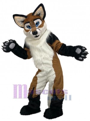 Chien costume de mascotte