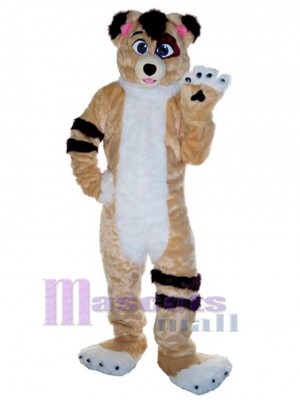 Chien costume de mascotte