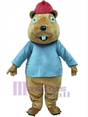 Castor costume de mascotte