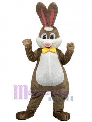 Vente en gros Lapin Brun Mascotte Costume Animal