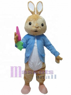 Pierre Lapin Mascotte Costume Animal