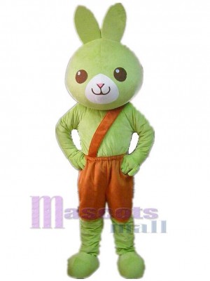 Lapin vert Mascotte Costume Animal