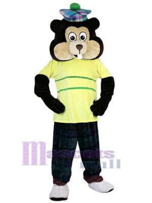 Gopher costume de mascotte