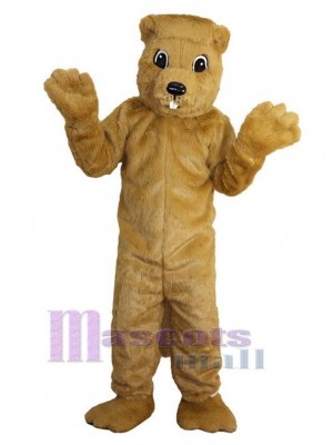 Jaune Gopher Mascotte Costume Animal