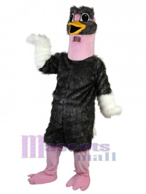 Fête Autruche Mascotte Costume Animal