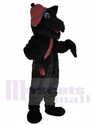 Chien écossais noir Costume de mascotte Animal aux yeux bleus