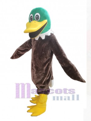 Canard costume de mascotte