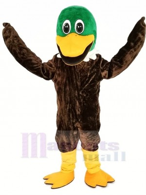 vert Tête Colvert canard Mascotte Costume Animal